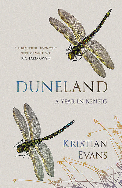 Clawr llyfr / Book cover: Duneland — Life in the Kenfig Coastal Sands