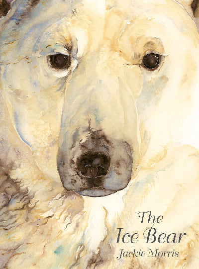 Clawr llyfr / Book cover: Ice Bear, The