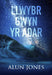 Llwybr Gwyn yr Adar