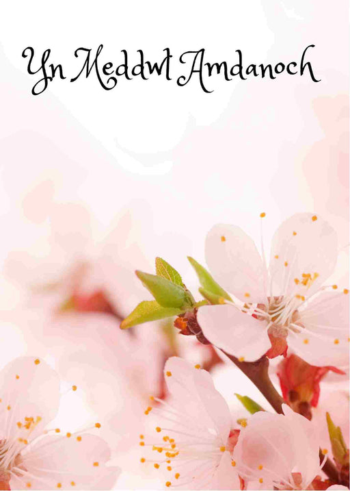 Cerdyn 'Yn Meddwl Amdanoch' | Cardiau.Cymru - Siop Y Pentan