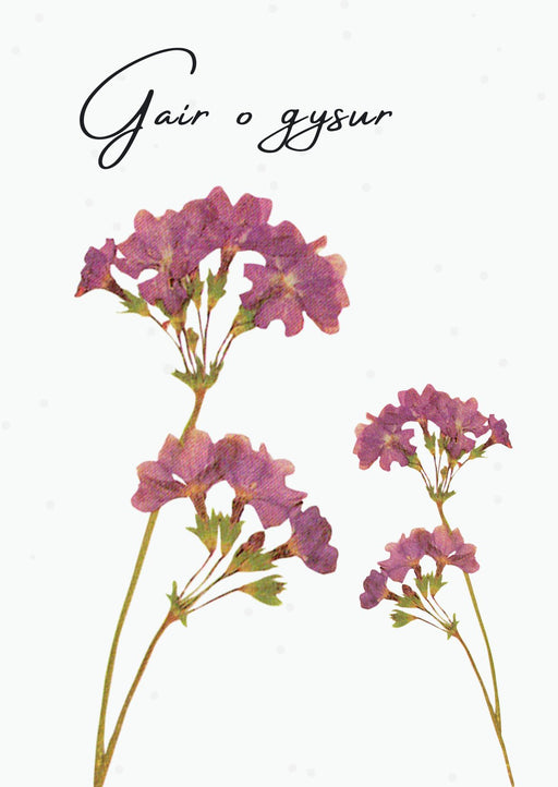 Gair o Gysur | Cardiau.Cymru - Siop Y Pentan