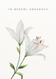 Yn meddwl amdanoch — Welsh sympathy card with white lilies.