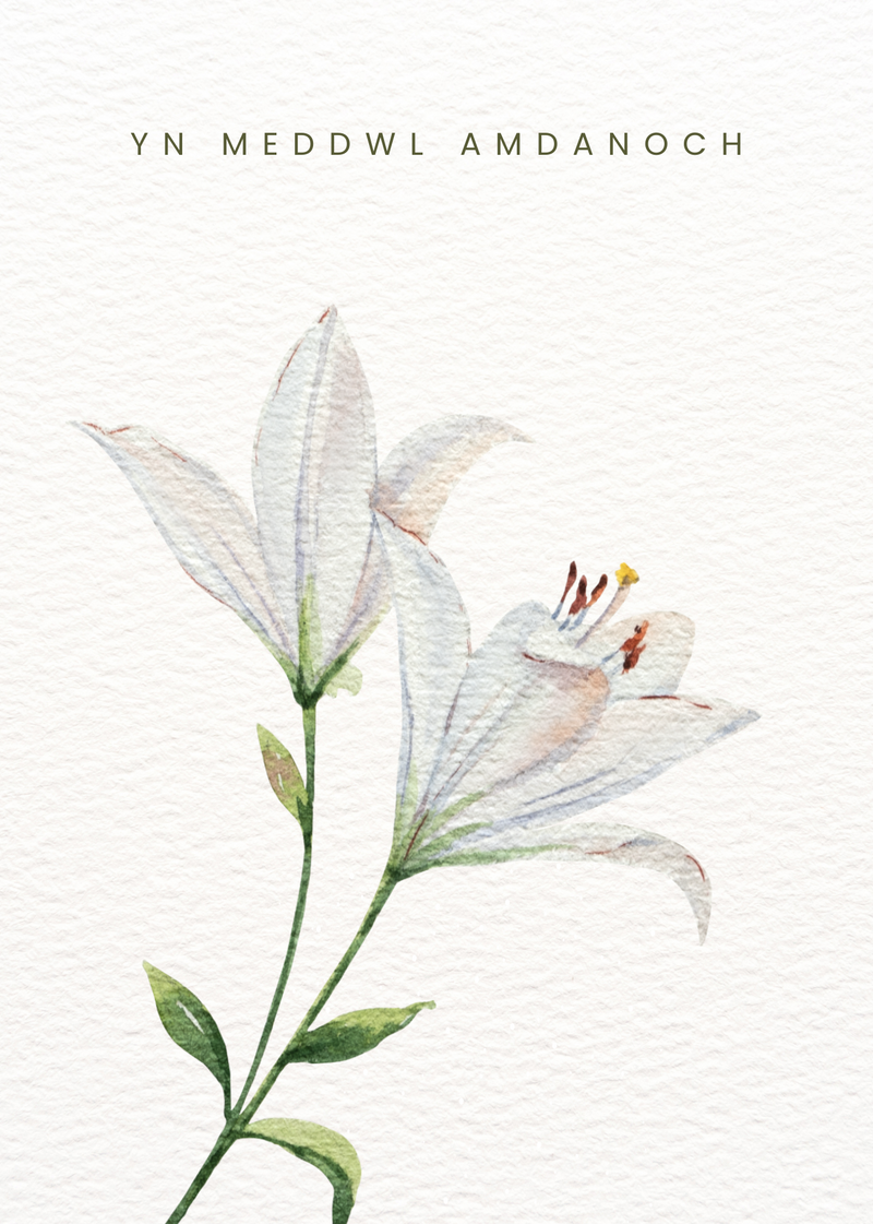 Yn meddwl amdanoch — Welsh sympathy card with white lilies.