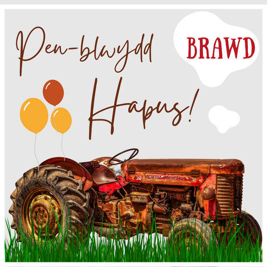 Penblwydd Hapus Brawd | Cardiau.Cymru - Siop Y Pentan