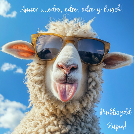 Penblwydd Hapus | Cardiau.Cymru - Siop Y Pentan
