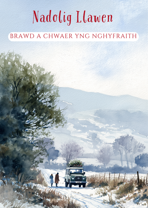 Nadolig Llawen Brawd a Chwaer yng nghyfraith | Cardiau.Cymru