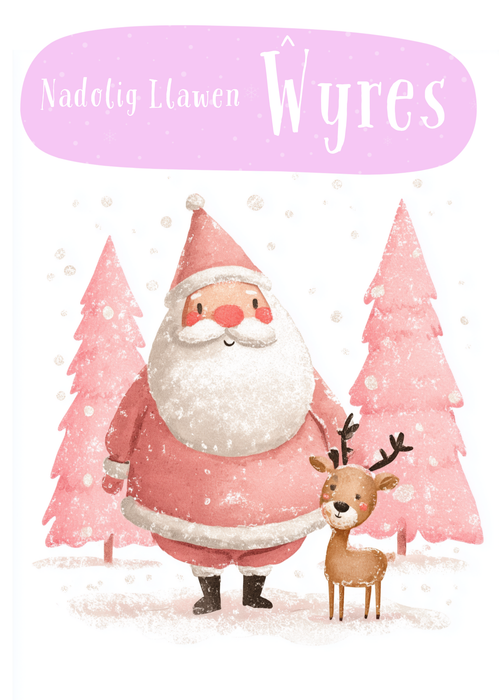 Nadolig Llawen Wyres | Cardiau.Cymru