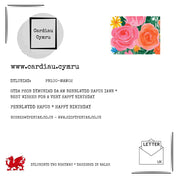 Cefn y cerdyn / Card back — PB100-MAM02-150DS