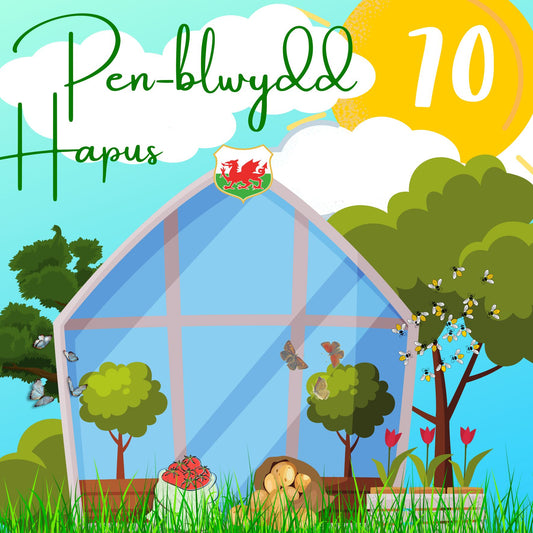 Penblwydd Hapus 70 | Cardiau.Cymru - Siop Y Pentan
