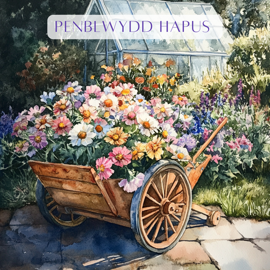 Penblwydd Hapus | Cardiau.Cymru - Siop Y Pentan