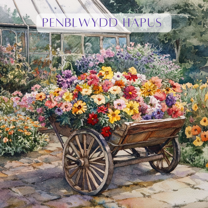 Penblwydd Hapus | Cardiau.Cymru