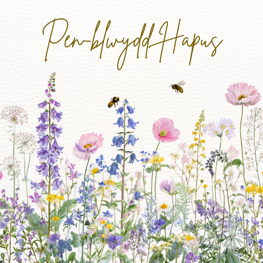 Pen-blwydd Hapus | Cardiau.Cymru - Siop Y Pentan