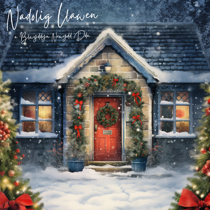 Nadolig Llawen | Cardiau.Cymru