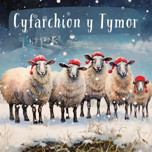Nadolig Llawen | Cardiau.Cymru