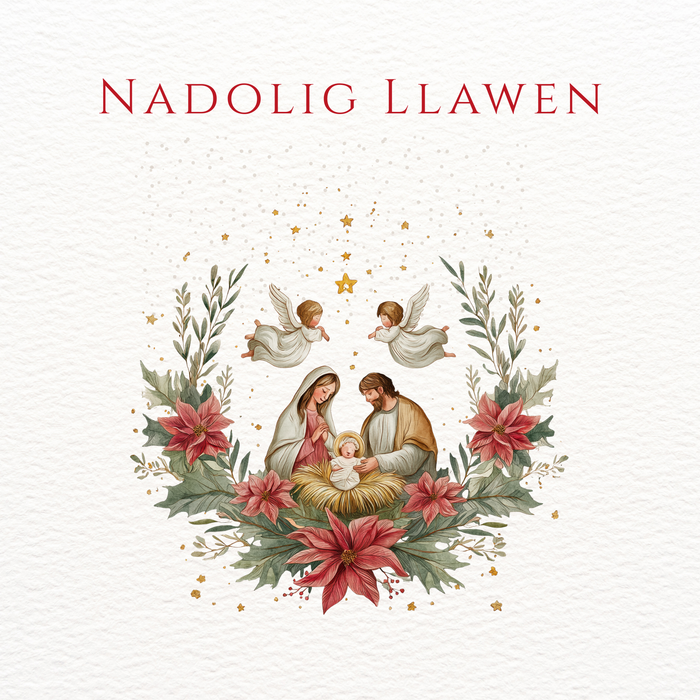 Pecyn o Gardiau Nadolig (2 Gynllun) | Cardiau.Cymru