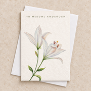 Yn meddwl amdanoch — lilïau gwyn / white lilies. Cerdyn cydymdeimlad Cymraeg yn wastad gydag amlen wen / Welsh sympathy card lying flat with a white envelope.