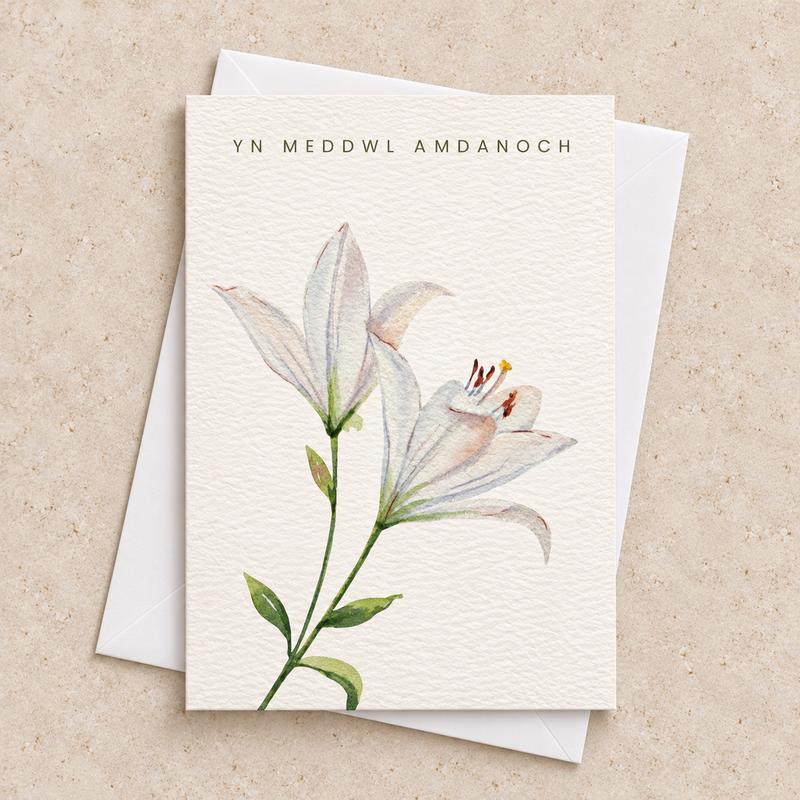 Yn meddwl amdanoch — lilïau gwyn / white lilies. Cerdyn cydymdeimlad Cymraeg yn wastad gydag amlen wen / Welsh sympathy card lying flat with a white envelope.