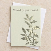 Cerdyn “Mewn Cydymdeimlad” gyda changen werdd ac amlen wen / Welsh sympathy card with a green botanical branch, shown flat with a white envelope.