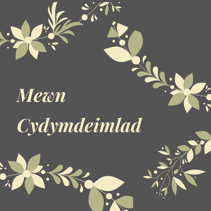 Mewn Cydymdeimlad | Cardiau Myrddin - Siop Y Pentan