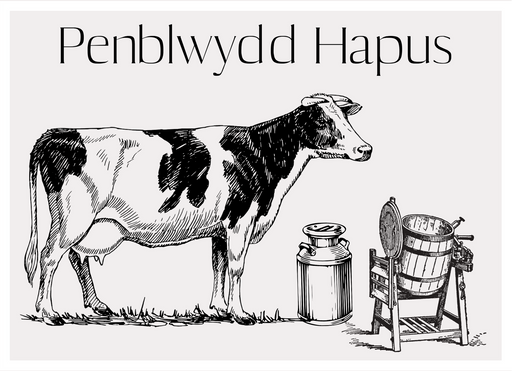 Penblwydd Hapus | Cardiau Myrddin - Siop Y Pentan