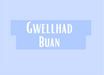 Gwellhad Buan | Cardiau Myrddin - Siop Y Pentan
