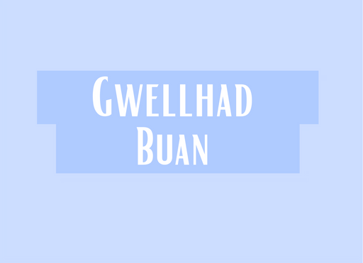 Gwellhad Buan | Cardiau Myrddin - Siop Y Pentan