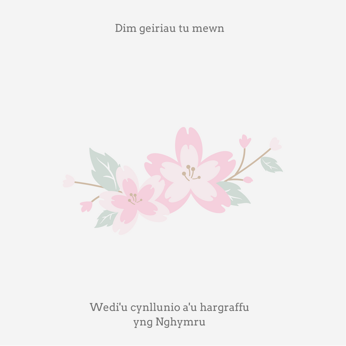 Penblwydd Hapus i Wyres Annwyl | Cardiau Myrddin - Siop Y Pentan