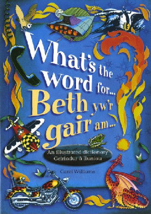 What's the Word For...?/Beth Yw'r Gair Am...? - An Illustrated - Siop Y Pentan