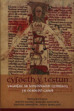 Cyfoeth y Testun - Ysgrifau ar Lenyddiaeth Gymraeg yr Oesoedd Can - Siop Y Pentan