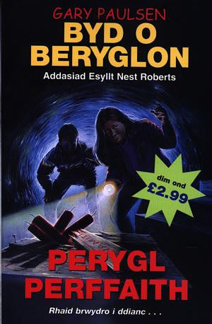 Byd o Beryglon: 8. Perygl Perffaith - Siop Y Pentan