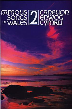 Cerddoriaeth y Cymry - Cyflwyniad i Draddodiad Cerddorol Cymru - Siop Y Pentan