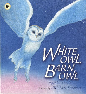 White Owl, Barn Owl - Siop Y Pentan