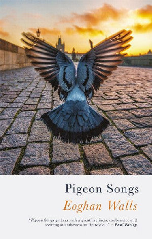 Pigeon Songs - Siop Y Pentan