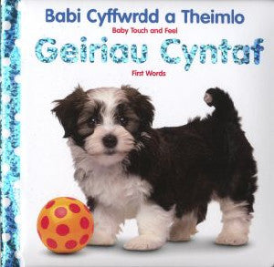 Babi Cyffwrdd a Theimlo: Geiriau Cyntaf / Baby Touch and Feel: Fi - Siop Y Pentan