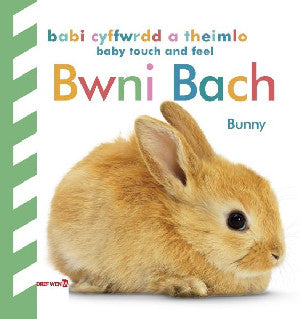 Babi Cyffwrdd a Theimlo: Bwni Bach / Baby Touch and Feel: Bunny - Siop Y Pentan