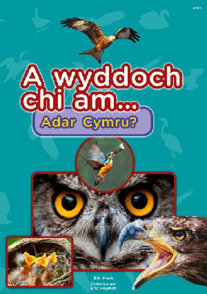 Cyfres a Wyddoch chi: A Wyddoch Chi am Adar Cymru? - Siop Y Pentan