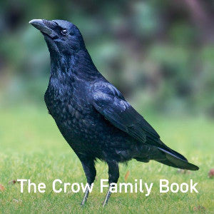 Crow Family Book, The - Siop Y Pentan