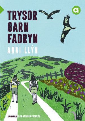 Cyfres Amdani: Trysor Garn Fadryn - Siop Y Pentan