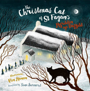 Christmas Cat at St Fagan's, The - Siop Y Pentan