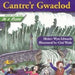 Welsh Folk Tales in a Flash: Cantre'r Gwaelod - Siop Y Pentan