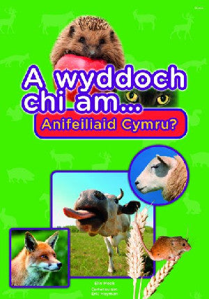 Cyfres a Wyddoch Chi: A Wyddoch Chi am Anifeiliaid Cymru? - Siop Y Pentan