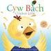 Cyw Bach / Chicken Little - Siop Y Pentan