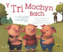 Tri Mochyn Bach, Y / Three Little Pigs, The - Siop Y Pentan