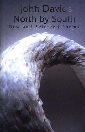 North by South - New and Selected Poems - Siop Y Pentan