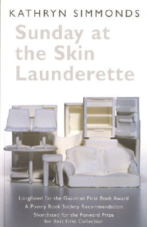 Sunday at the Skin Launderette - Siop Y Pentan