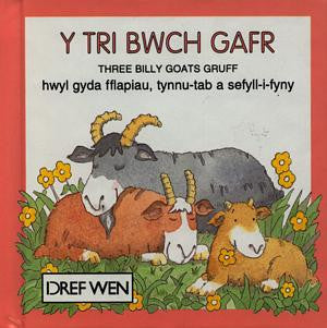 Cyfres Hoff Straeon:Tri Bwch Gafr, Y - Siop Y Pentan