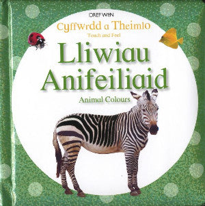 Cyffwrdd a Theimlo/Touch and Feel: Lliwiau Anifeiliaid/Animal - Siop Y Pentan