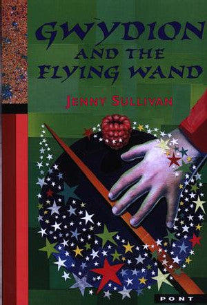 Gwydion and the Flying Wand - Siop Y Pentan