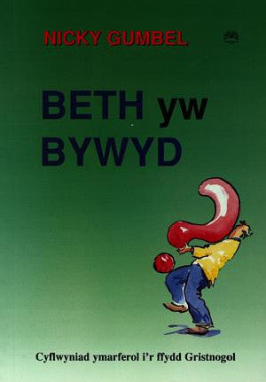 Beth yw Bywyd? - Atebion i'r Cwestiynau Mawr - Siop Y Pentan