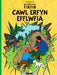 Cyfres Anturiaethau Tintin: Cawl Erfyn Efflwfia - Siop Y Pentan